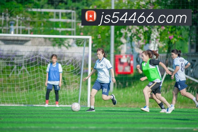 澳门金沙国际平台生态图